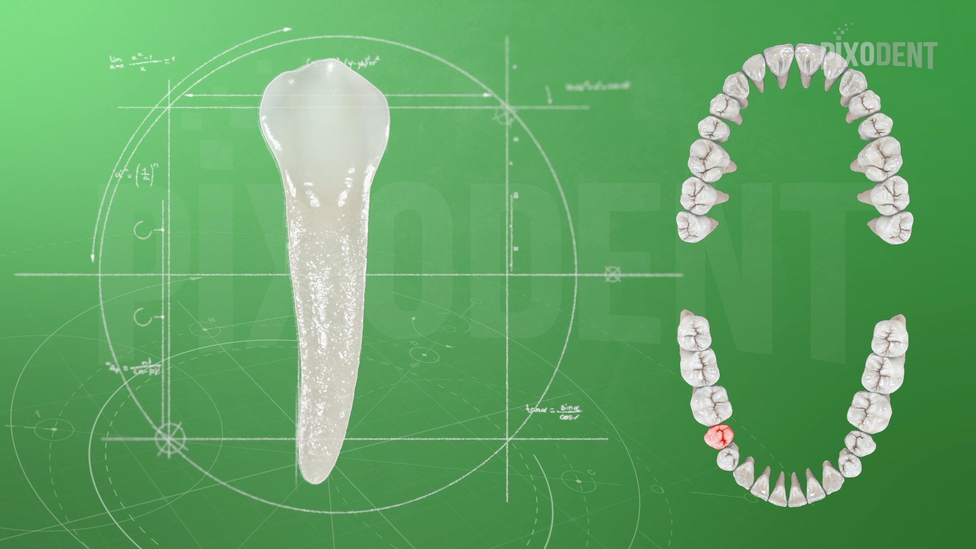 Morphology 45