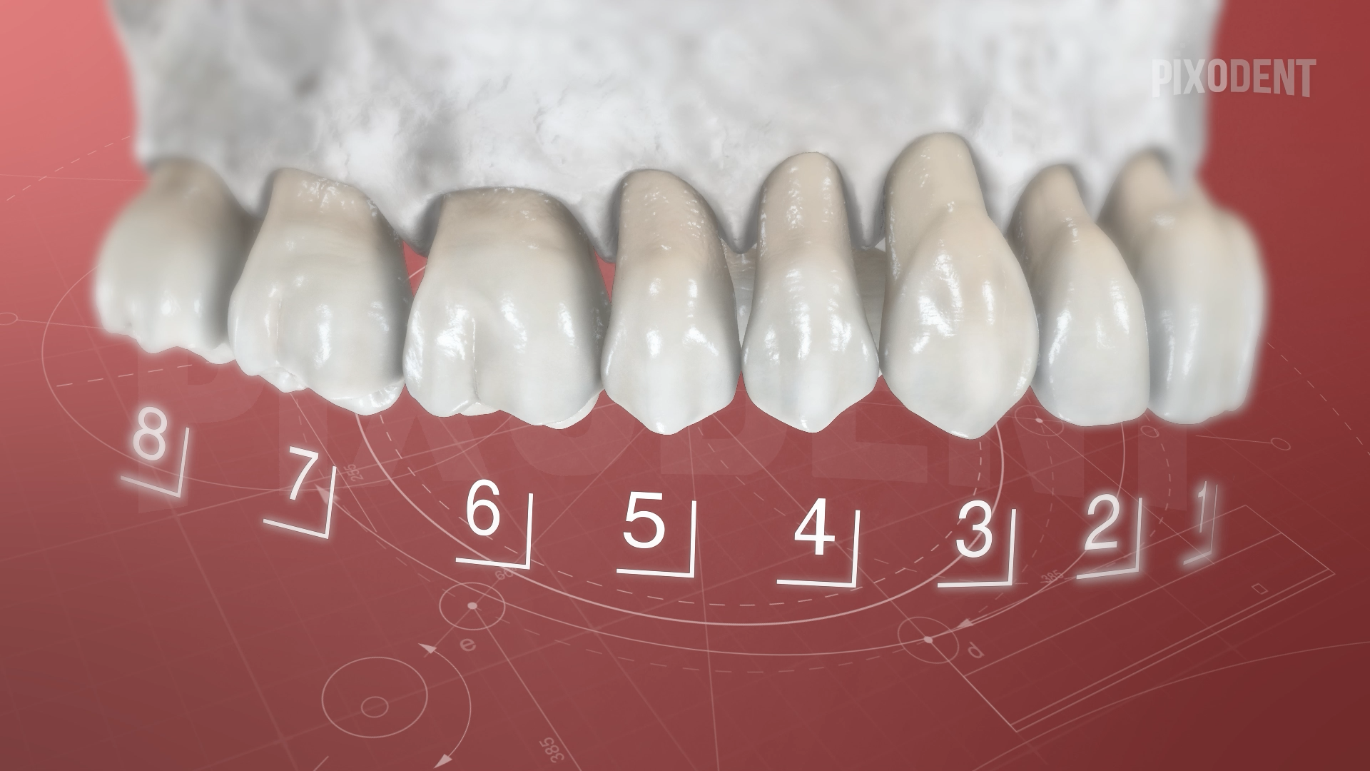 Numbering Systems